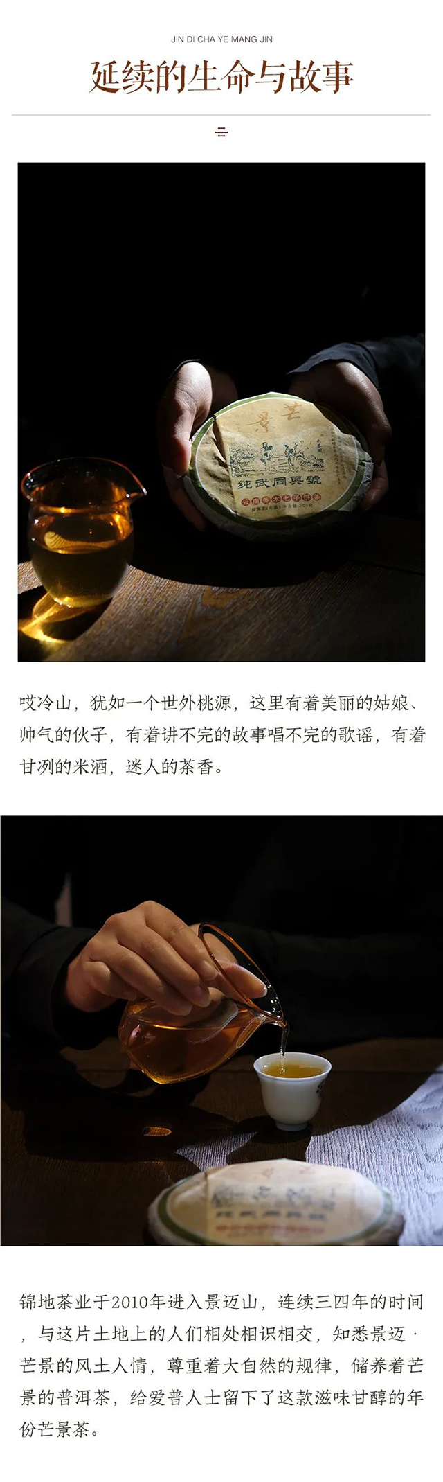 锦地2013芒景哎冷山普洱茶
