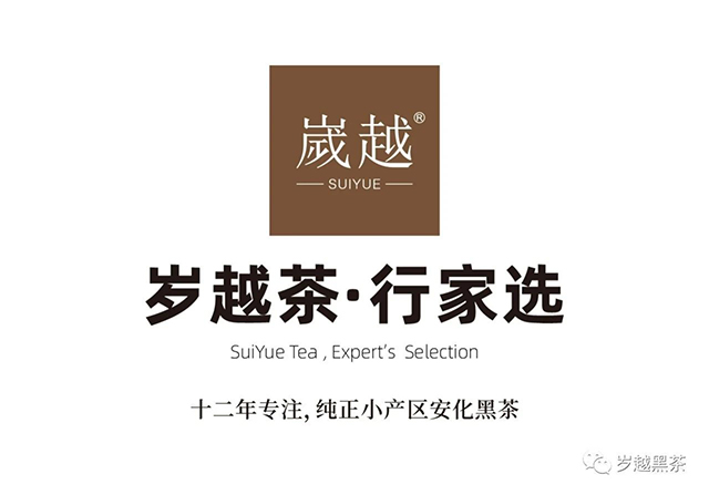 岁越黑茶2021拾年天尖砖