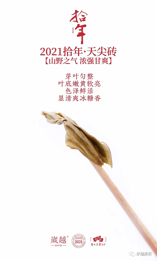 岁越黑茶2021拾年天尖砖