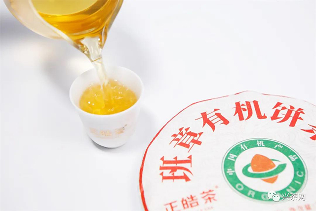 正皓茶班章有机饼茶