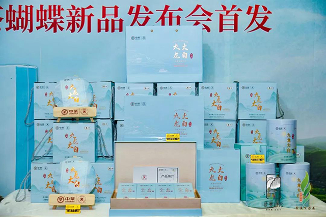 中茶松溪九龙大白茶新品