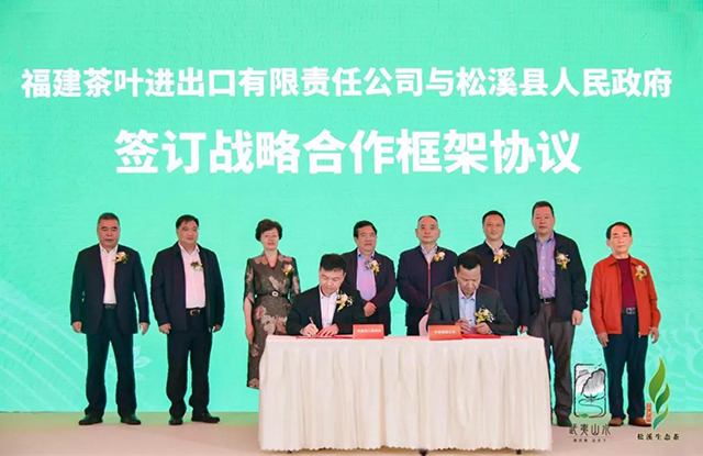 松溪县人民政府与中茶福建公司签订战略合作协议