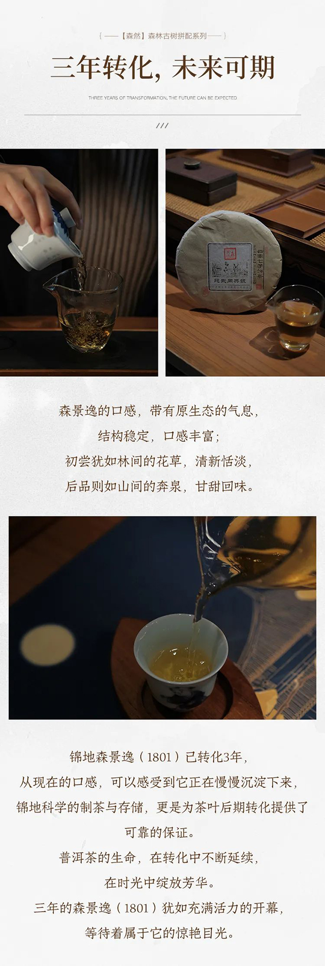 锦地茶业森然2018森景逸普洱茶