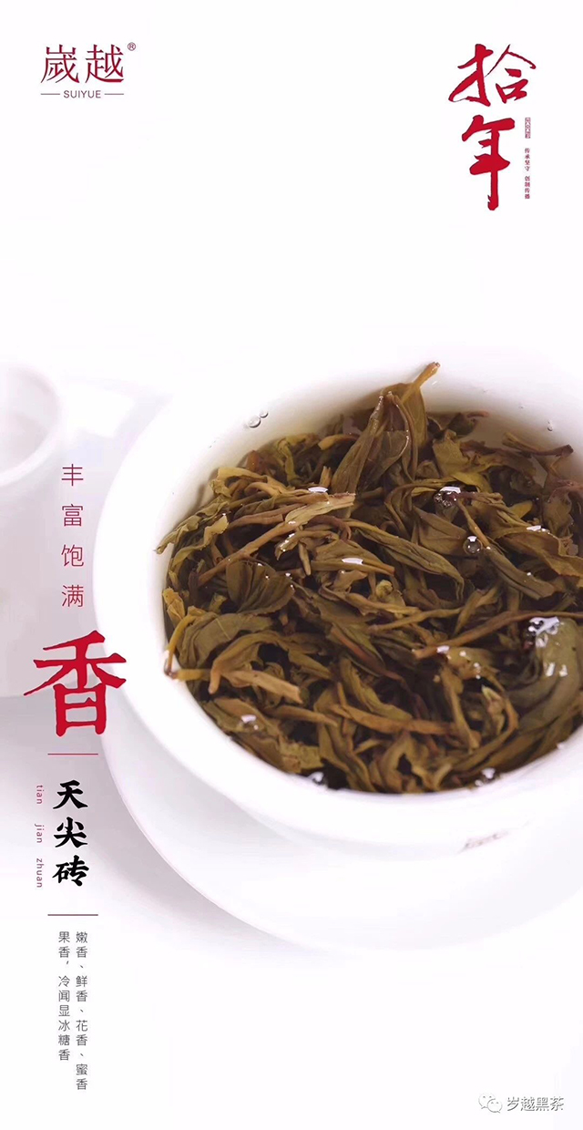 岁越黑茶拾年天尖砖