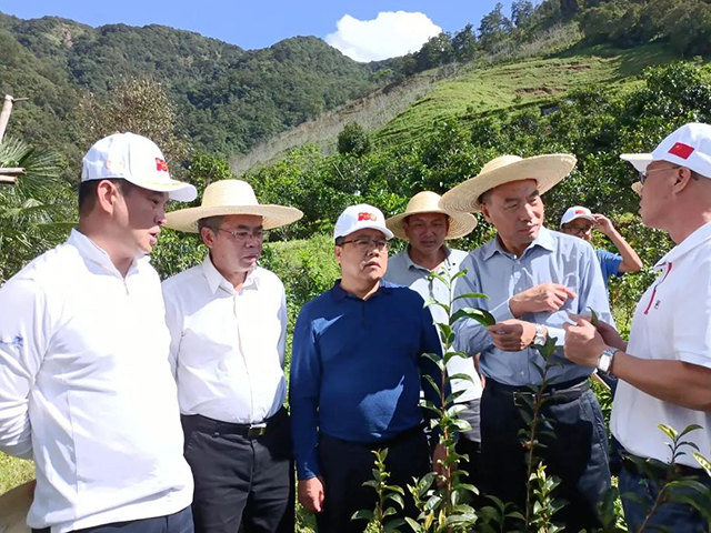 云南省普洱茶协会