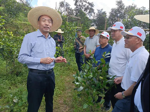 云南省普洱茶协会