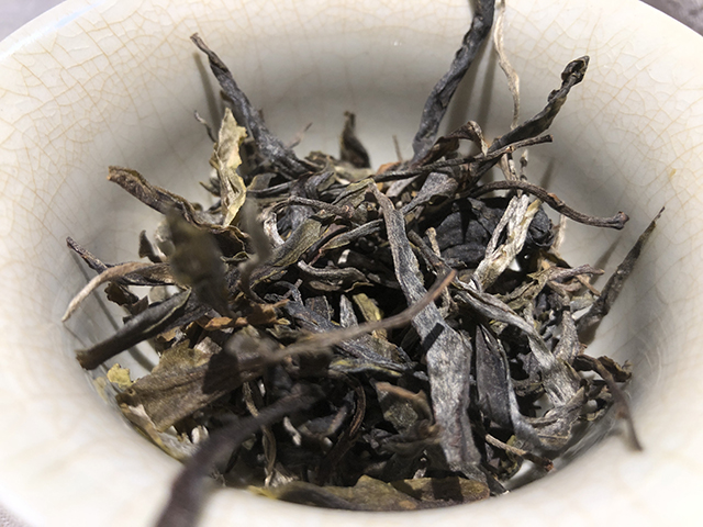 蓝版天门山普洱茶小饼