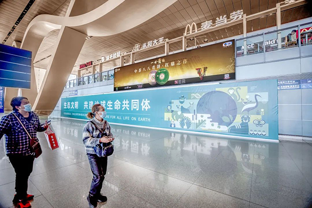 中茶普洱广告亮相昆明长水机场