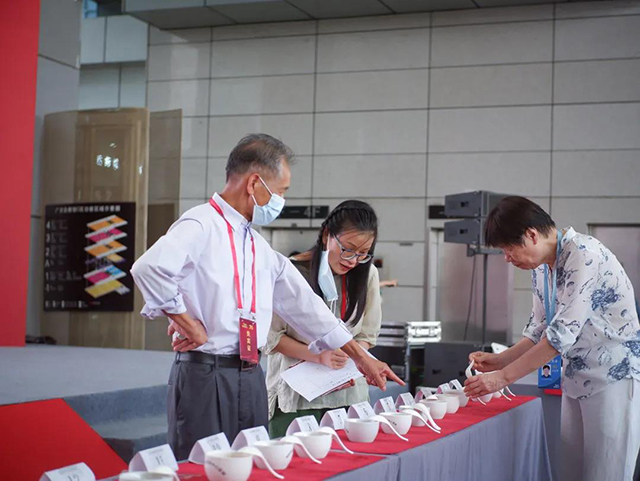 益武杯中国工夫茶大赛评委在为参赛选手冲泡的茶汤打分