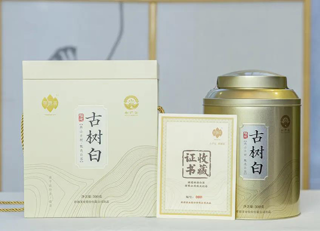 祥源茶古树白茶品鉴