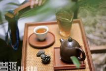 段兆顺：寻找普洱茶的核心价值（中）