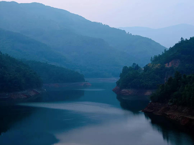 磨烈茶山实拍