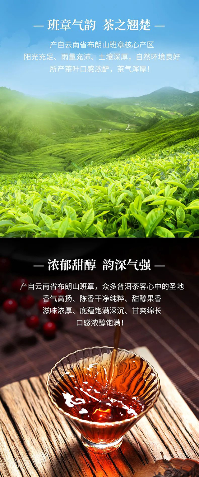 中茶水蓝印普洱茶班章大树熟茶