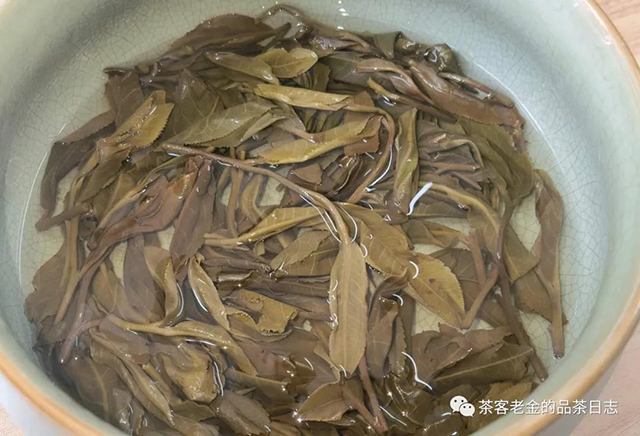 晓茶将军令普洱茶