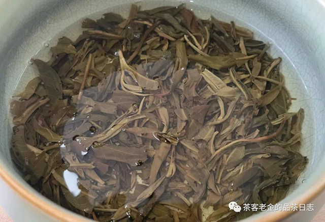 茶者无喧2019年桃子寨普洱茶