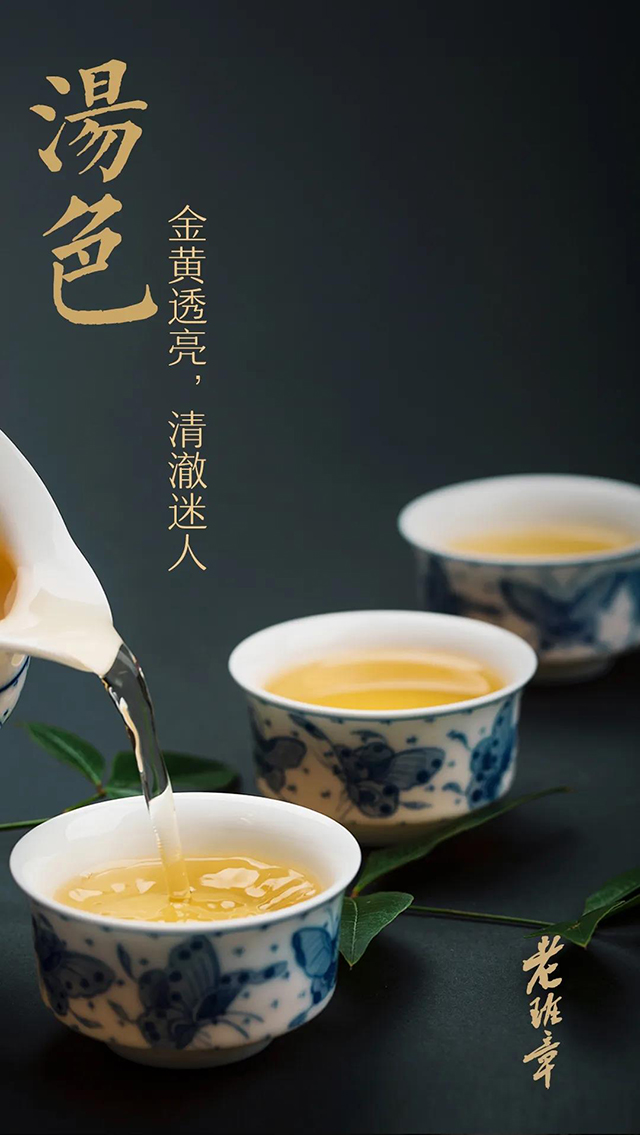 龙润茶2021老班章普洱茶
