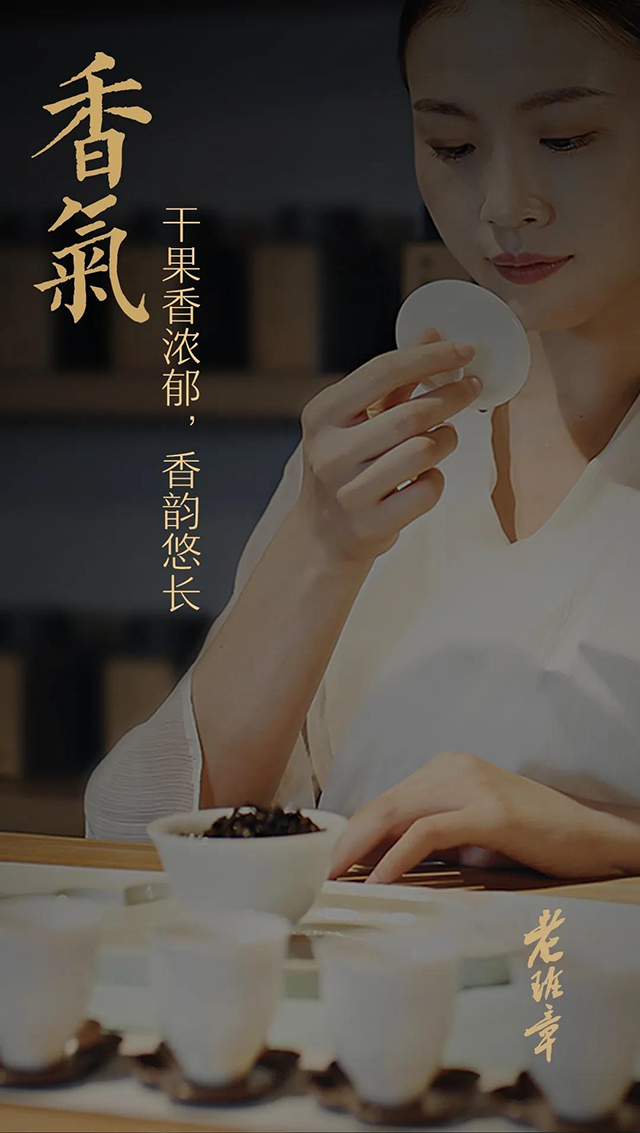 龙润茶2021老班章普洱茶