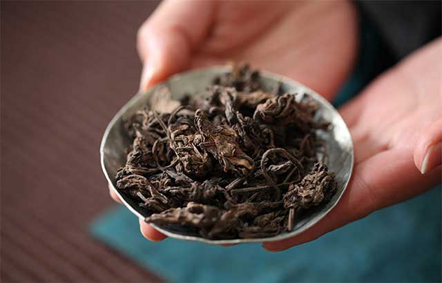 2018年临沧古树熟茶发酵金芽小茶头小滑头