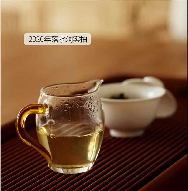 荣瑞祥2020年落水洞古树春茶汤色明黄透亮