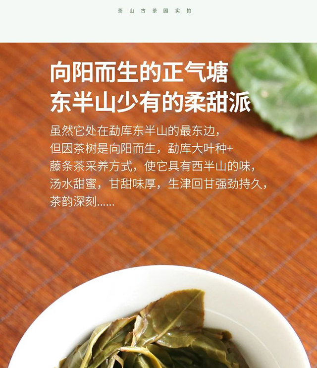 荣瑞祥2021年正气塘古树春茶