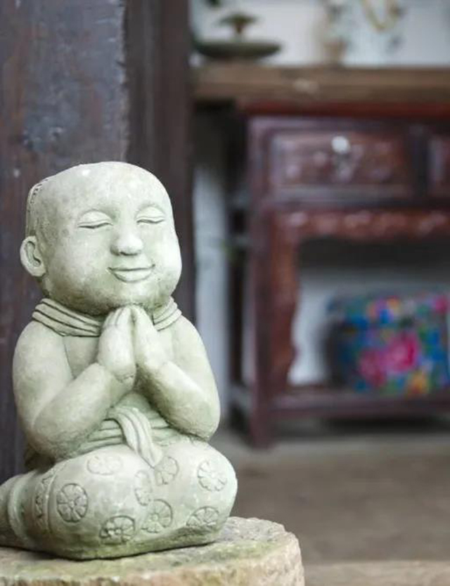 普洱杂志