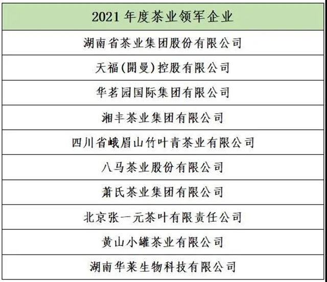 第十七届中国茶业经济年会开幕式暨2021中国茶业品牌盛典活动现场