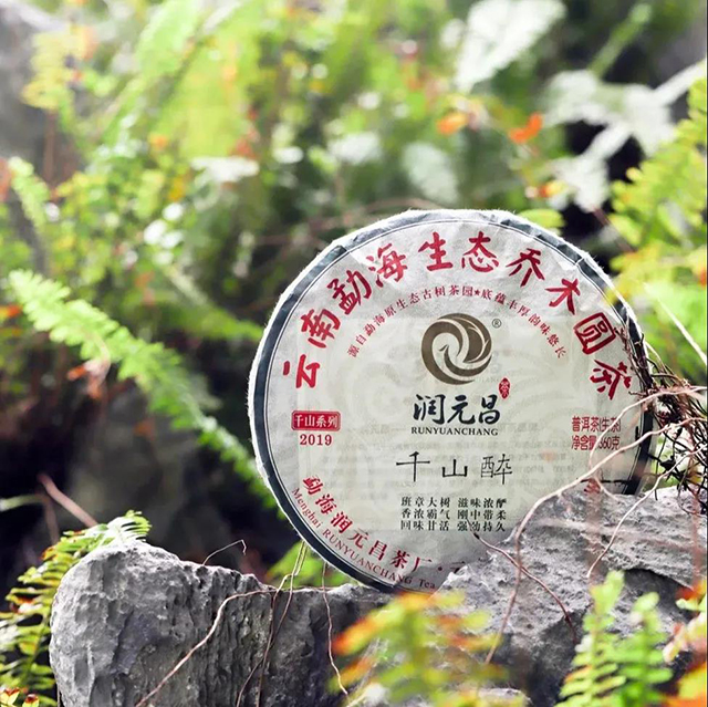 润元昌普洱茶千山醉各年份