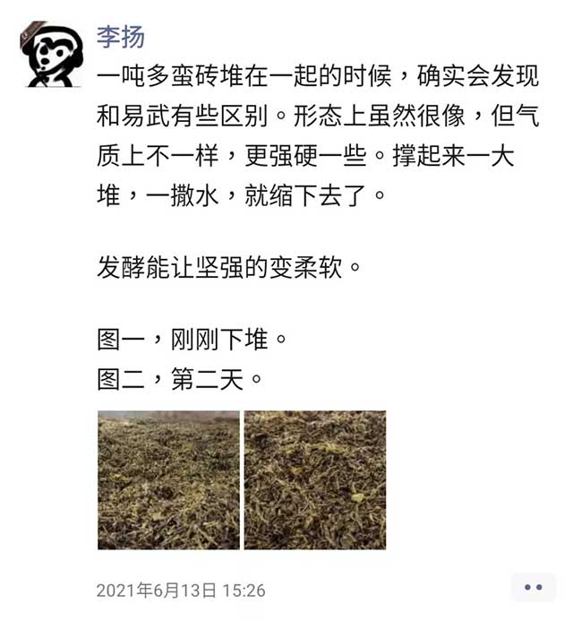 蛮砖古树熟茶