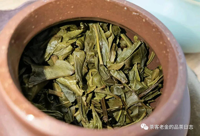 茶人壹树叶2021年隐者普洱茶