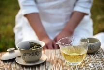 岩文《爱上普洱》：品鉴普洱，情感
