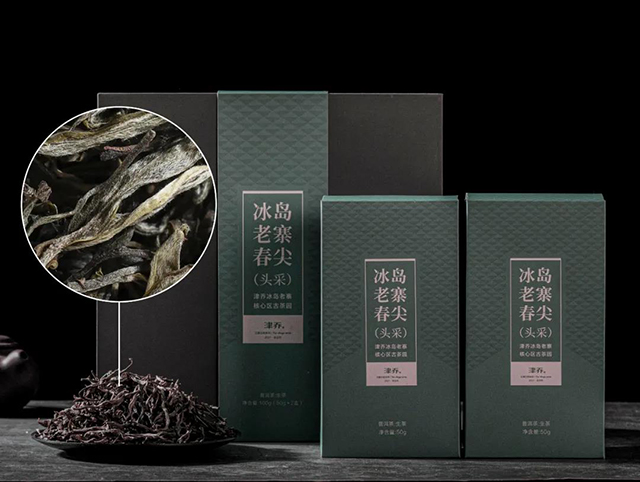 津乔普洱