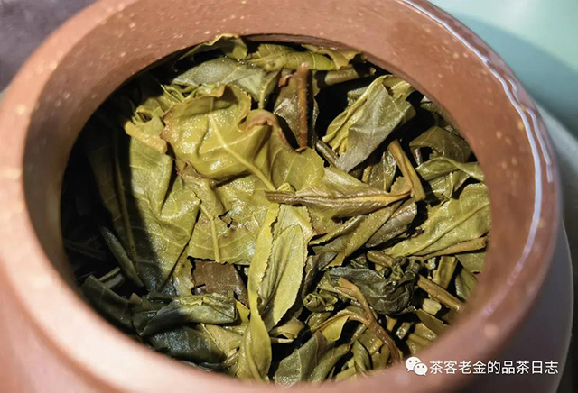 茶人壹树叶玉兰芳心普洱茶