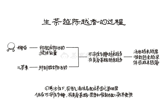 普洱茶熟茶仓储