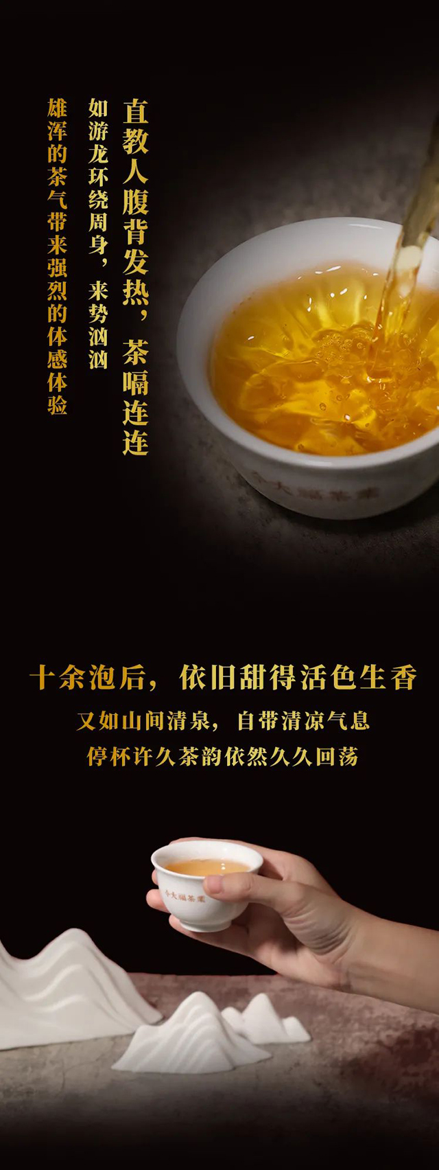 今大福2021班章大白菜茶王