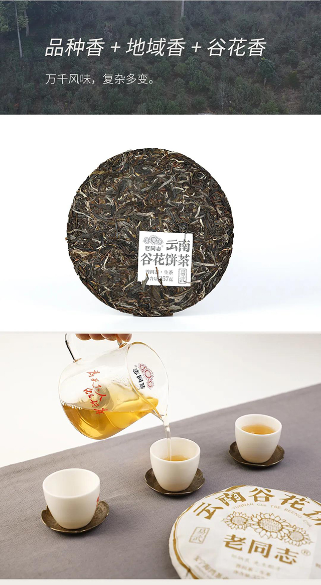 老同志云南七子饼茶