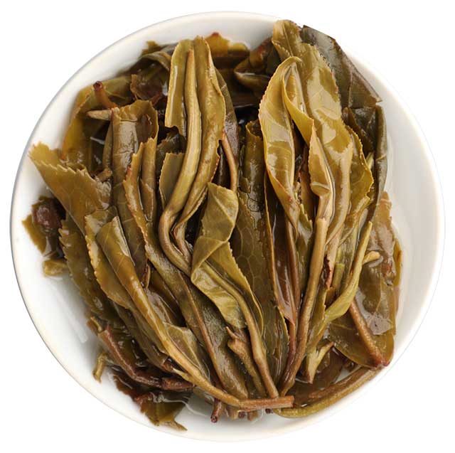 中茶普洱茶2021中茶曼松普洱茶生茶