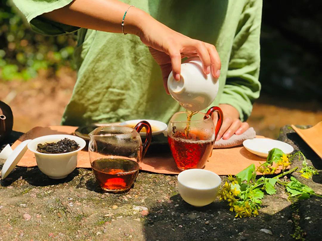 品牌岩茶茶会