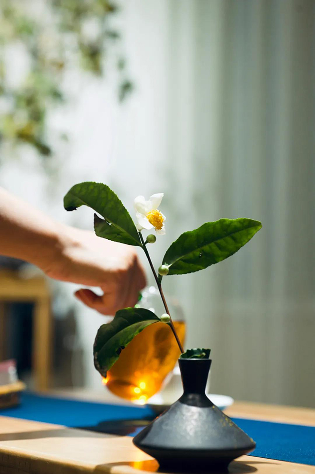 精品岩茶茶会