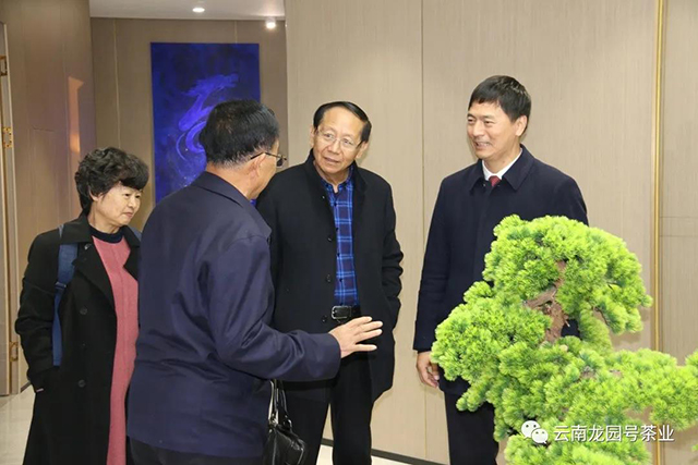 云南省茶叶流通协会2021年例会