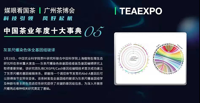 媒眼看国茶2021中国茶业年度十大新闻