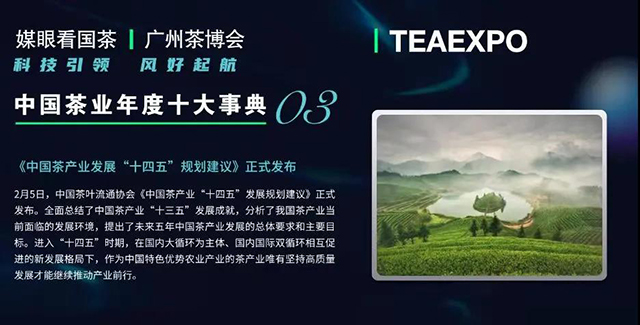 媒眼看国茶2021中国茶业年度十大新闻