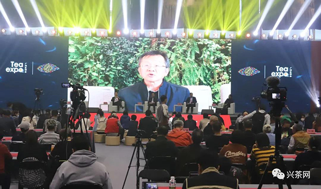 媒眼看国茶2021中国茶业年度十大新闻
