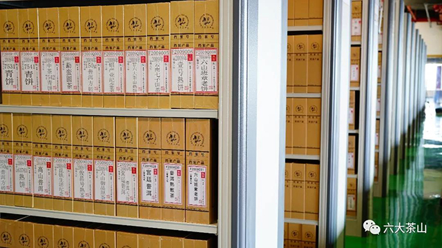 六大茶山档案盒