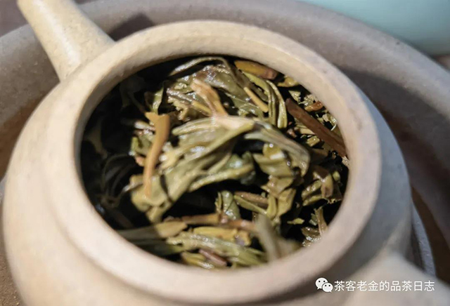 元龙号密林秋茶普洱茶