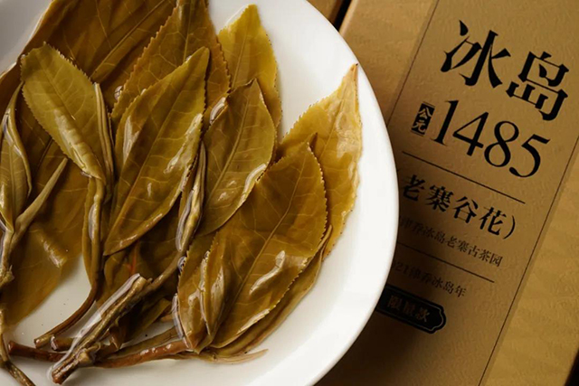 津乔普洱茶