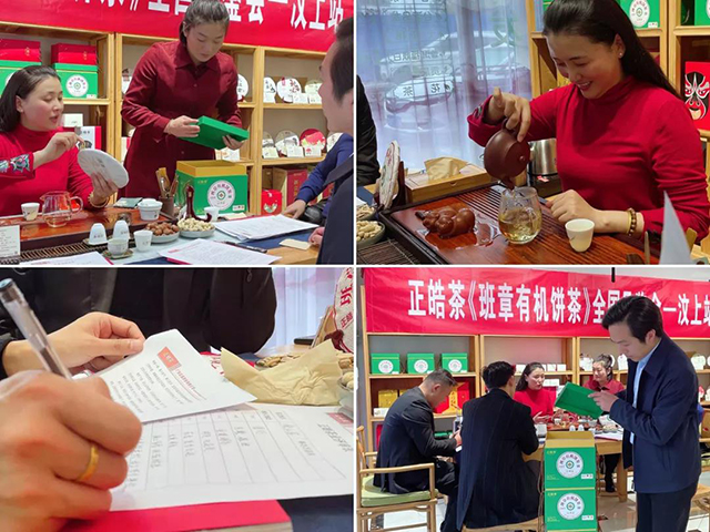 正皓茶班章有机饼茶全国品鉴会