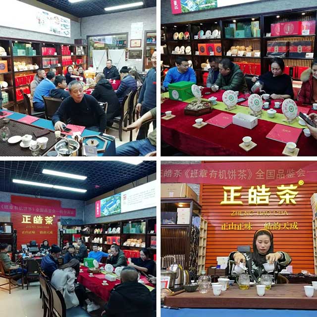 正皓茶班章有机饼茶全国品鉴会