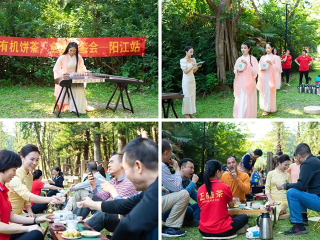 正皓茶班章有机饼茶全国品鉴会