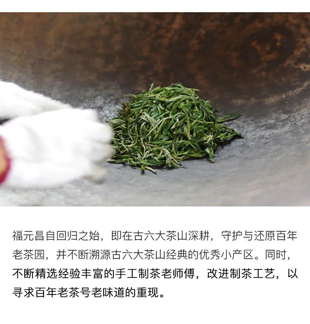 福元昌古树蓝票普洱茶