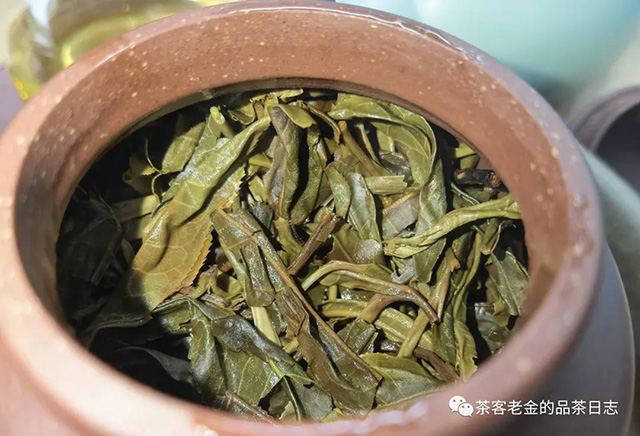 茶人壹树叶2021年拔地倚天普洱茶